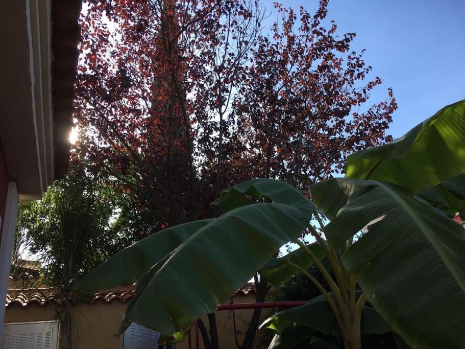 SalterasCasa Bignonia别墅 外观 照片